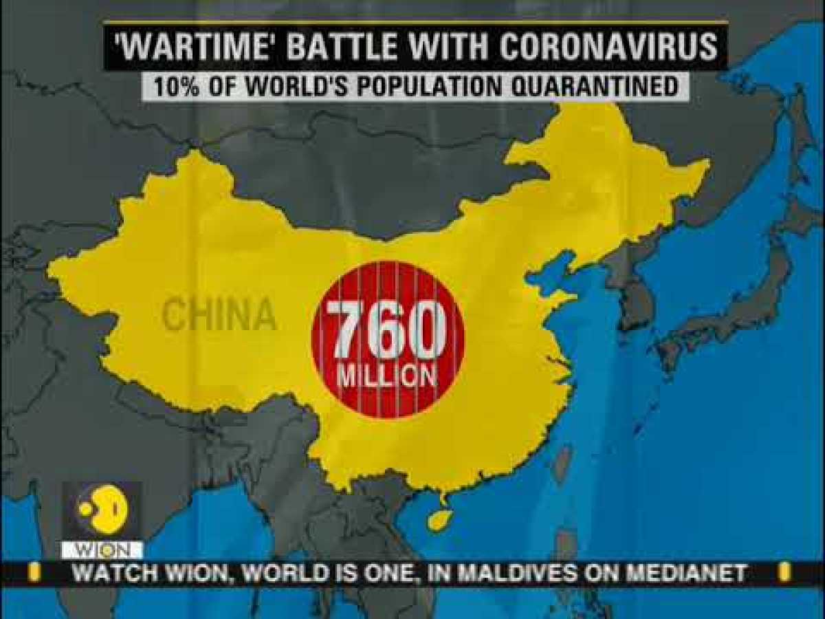 Coronavirus Outbreak: Can plasma be the cure for COVID-19? WION News | World News
